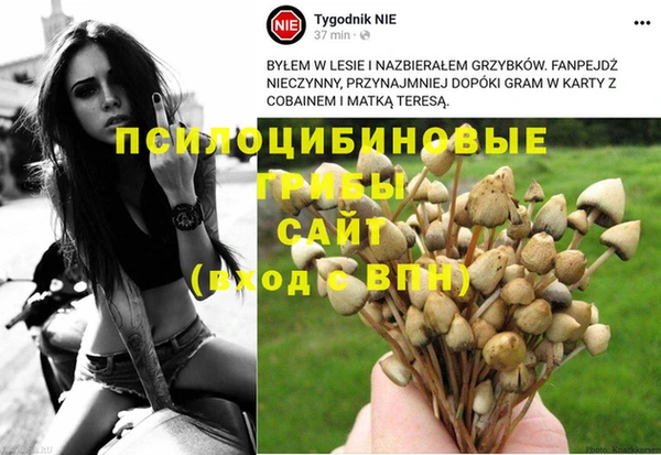 бутират Белокуриха