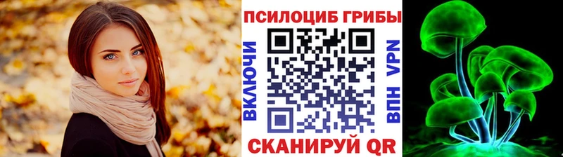 кракен онион  продажа наркотиков  Троицк  Псилоцибиновые грибы Magic Shrooms 